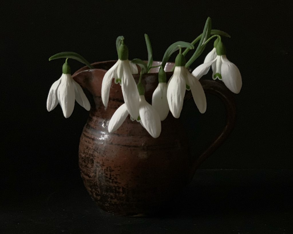 Snowdrop flowers in brown mug